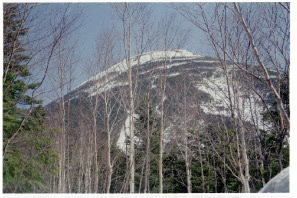 登山道より蓼科山