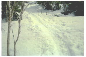 箱庭付近登山道